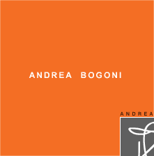 Andrea Bogoni display